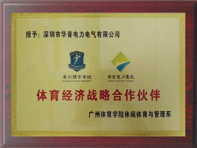 體育經濟戰(zhàn)略合作伙伴